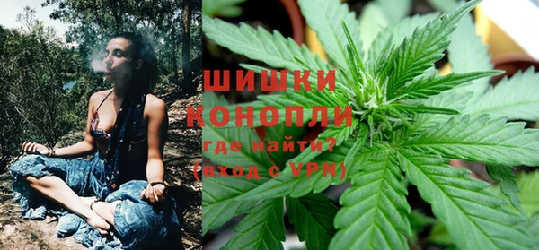 молекула духа Богданович