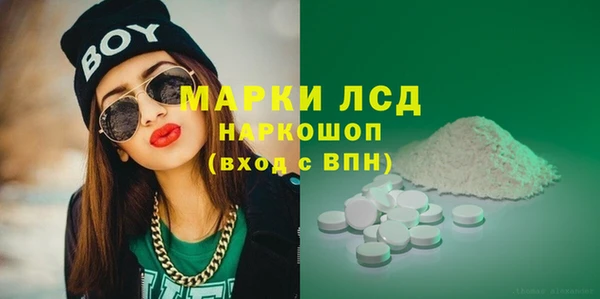 молекула духа Богданович