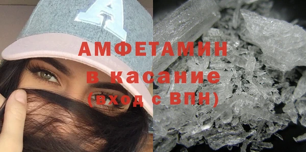 молекула духа Богданович
