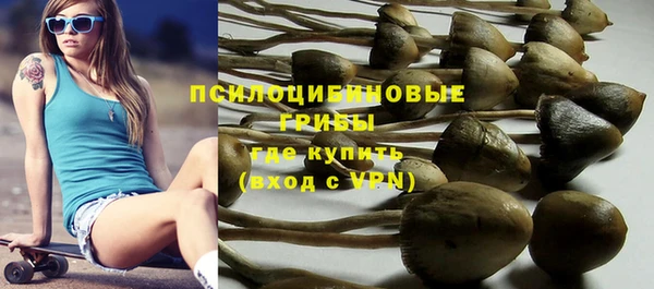 круглые Богородицк