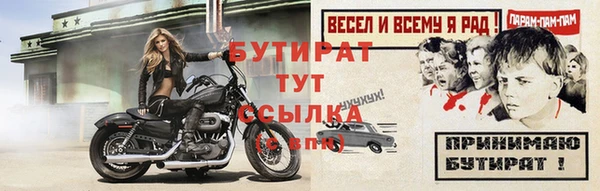молекула духа Богданович