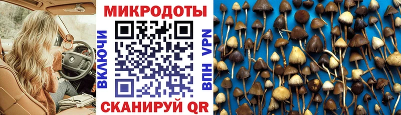 Купить  Северобайкальск  Псилоцибиновые грибы мухоморы 